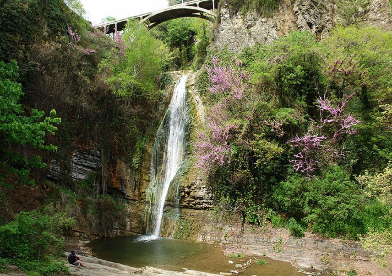 Baazovi 17 Apartment Tiflis Dış mekan fotoğraf